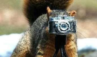 Смешной фотограф