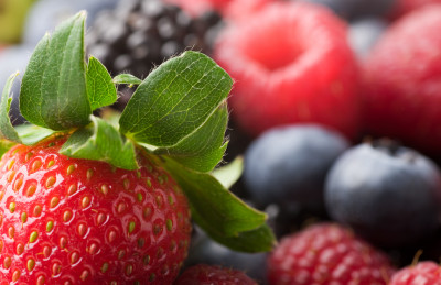 Сохранить мозг активным и молодым помогут ягоды